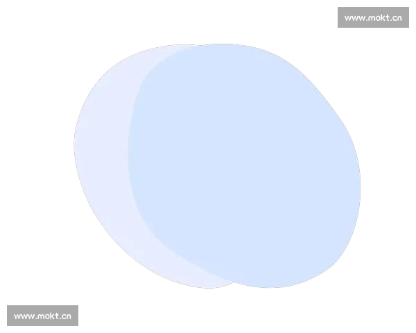 星空综合APP官网登录入口及使用指南一站式服务平台解析